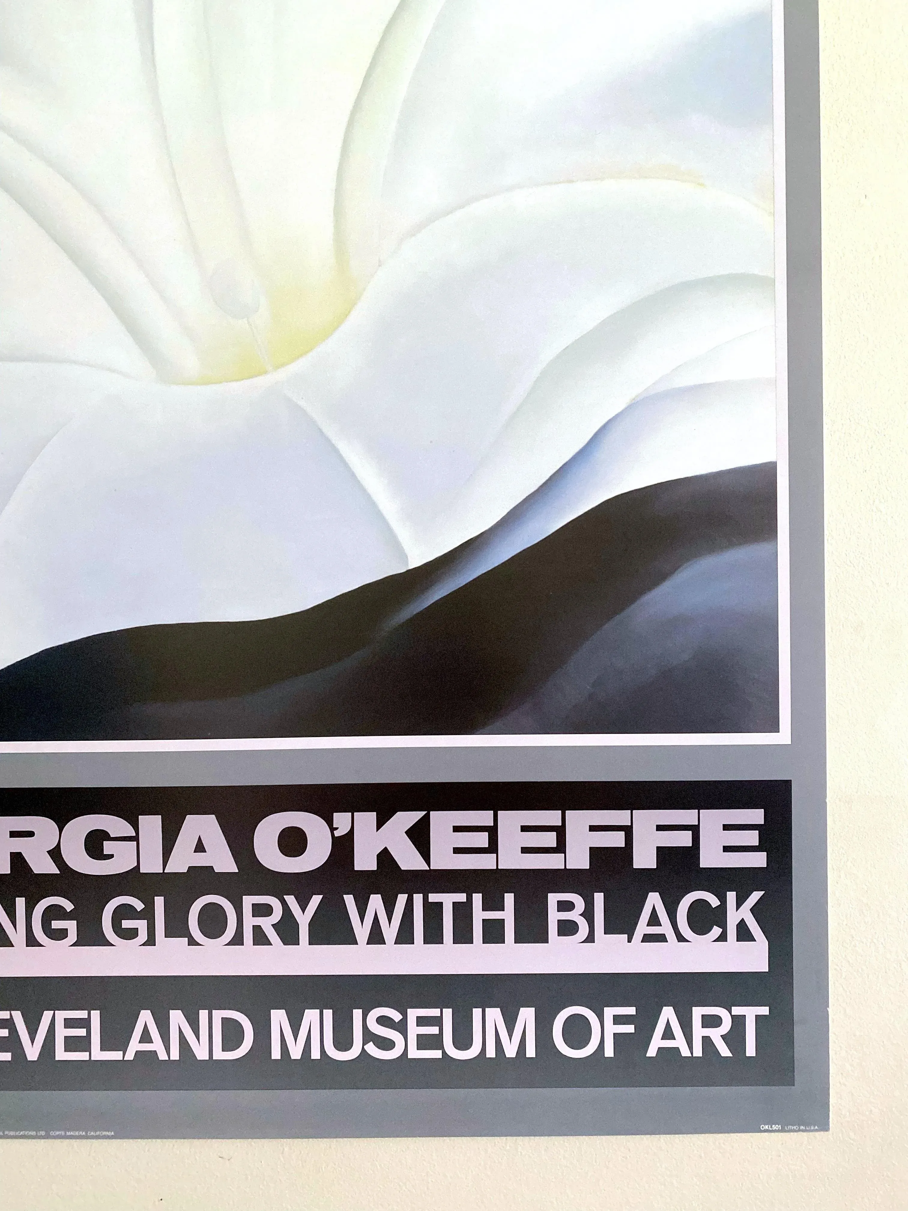 IA O'KEEFFE ポスター Rare Vintage O'Keeffe MOMA Art Exhibition Poster | Golden Rule