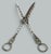 Mid 19th Century Antique Vintage Sterling Silver Grape Scissors Shears Atkin Brothers 3.5 Ozs 1899 For Sale - Image 5 of 9