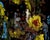 Coral Bouquet - Abstracted Underwater Scene in Acrylic on Masonite For Sale - Image 4 of 9