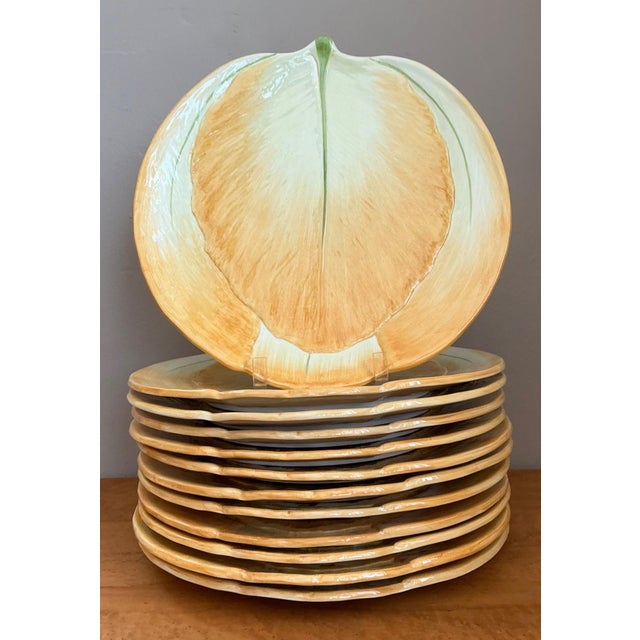 Vintage Italian Botanical Ceramic Dinner Plates - Set of 12 For Sale - Image 9 of 15