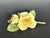 Italian Capodimonte Porcelain Flowers Yellow Roses For Sale - Image 12 of 12