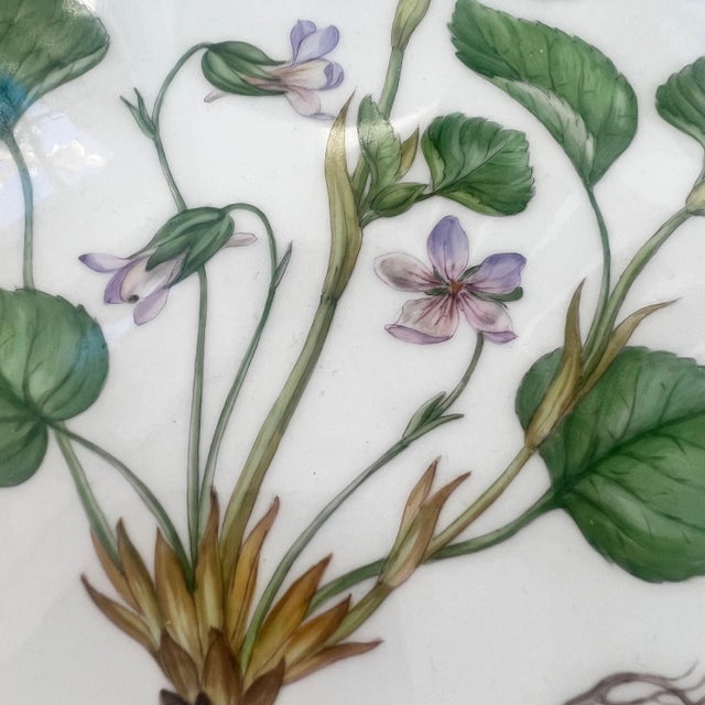 Ceramic Stunning Flora Danica 8 3/4” serving bowl // Royal Copenhagen Denmark // Viola Mirabilis L // hand painted luxury fine china // fine art For Sale - Image 7 of 10
