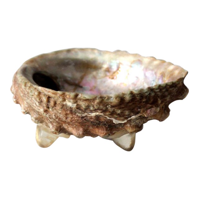Mid Century Abalone Shell Footed Bowl For Sale