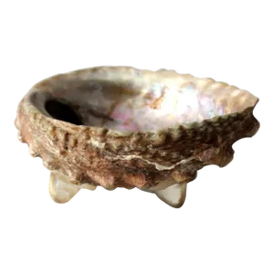 Mid Century Abalone Shell Footed Bowl