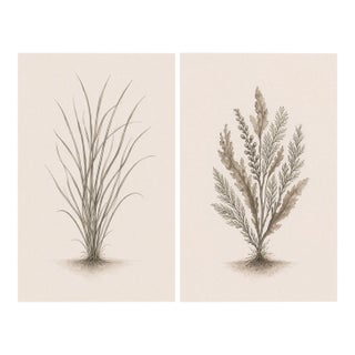 Curated Coastal Botanical Pair, Minimalist Sea Grass & Botanical Studies, 24" × 36" Each For Sale