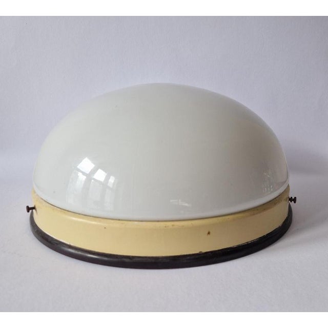 Bauhaus Mid-Century Ceiling Lamps, 1950s For Sale - Image 3 of 18