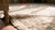 Ecru 1930s Tan Ecru Diamond Antique Central Asian Khotan Rug 6'9" X 12'9" Handknotted Wool Carpet For Sale - Image 8 of 9