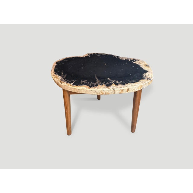 Andrianna Shamaris Ancient Palm Petrified Wood Side Table For Sale - Image 4 of 4