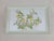 Williams Sonoma Citron rectangular platter showcases a vibrant botanical illustration of lemons on the branch with...