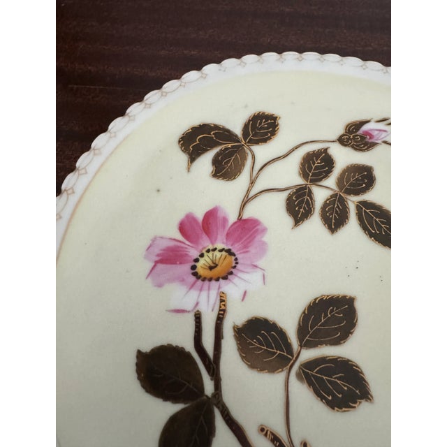 Ceramic 19th Century Pink Floral Cabinet Plates a Pair For Sale - Image 7 of 12