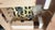 Vintage German Black Forest Hunting Lodge Cuckoo Clock With Deer, Rifles & Oak Leaves For Sale - Image 15 of 16