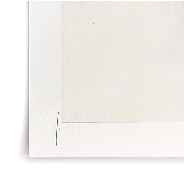 Contemporary Flog, Graffiti Shadow (Unique 1/1 Hand Finished Screen Print) For Sale - Image 3 of 4