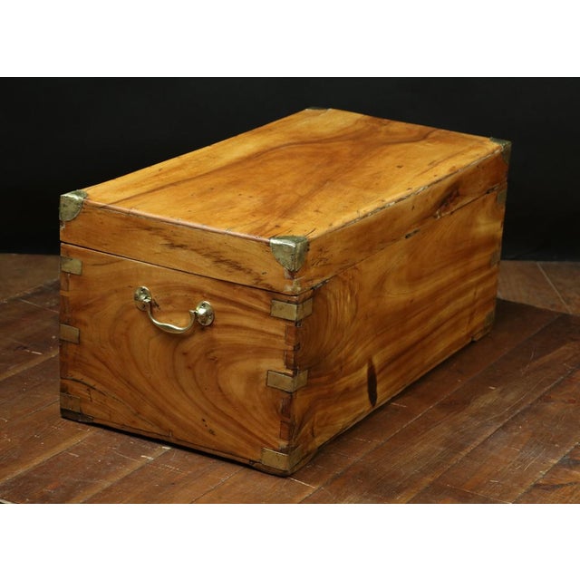 Camphor and Brass Buffet, 1890s For Sale - Image 3 of 7