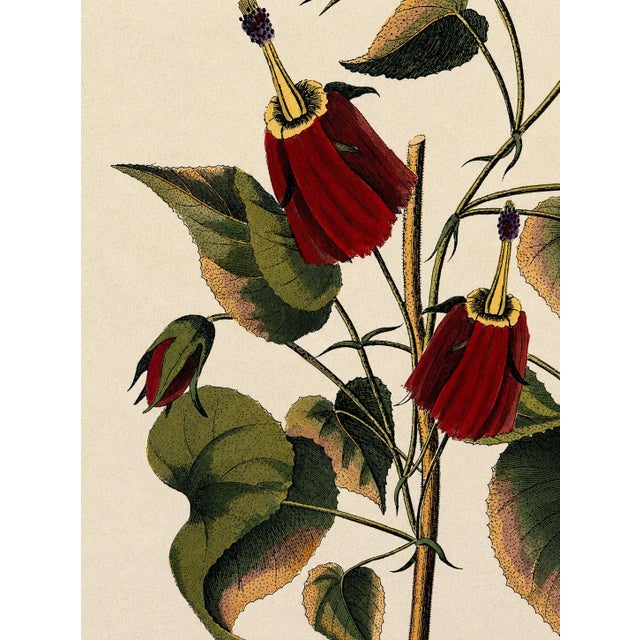 Traditional Vintage Framed “Jenna’s Flowers” Print by Decorative Arts, Inc. For Sale - Image 3 of 9
