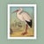 'Standing Stork' Archival Reproduction Print For Sale - Image 4 of 4