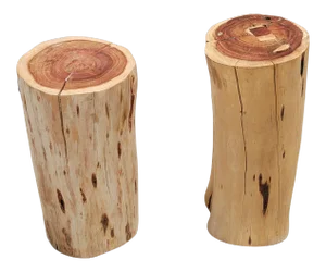 Wood Tree Trunk Tables - Unmatched Pair