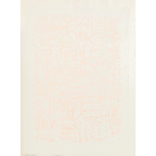 Domenick Capobianco Lithograph and Screenprint, 2 For Sale - Image 13 of 14