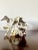 Beautiful and unusual sculpted cup or vessel. Fantastic detailing with barnacle-like and coral-form elements on an...