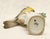 Porcelain Great Tit on a Tree Stump from Meissen, 1920s For Sale - Image 8 of 9