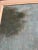 Mid 19th Century Ethereal Swedish Portrait Painting of a Woman Wearing a White Gown For Sale In Seattle - Image 6 of 10