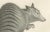 19th-Century Lithograph of a Rust-Colored Phalanger and Striped Kangaroo This exquisite 19th-century lithograph showcases...