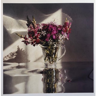 Peter C. Jones 1, Sweet Williams, Large Format Flowers Photo 24X20 Color Photograph Beach House, 2002 For Sale