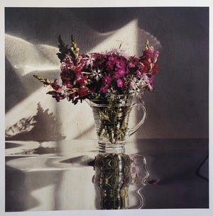 Peter C. Jones 1, Sweet Williams, Large Format Flowers Photo 24X20 Color Photograph Beach House, 2002