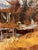 Platte River, Denver in December by Timothy J. Standring | Oil on canvas Landscape with river and trees For Sale - Image 4 of 5