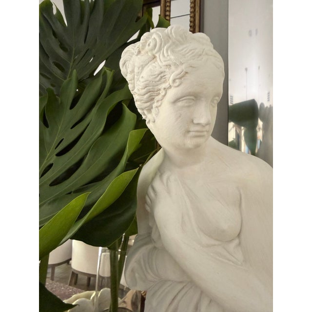Italian Plaster Classic Venus Statue For Sale - Image 3 of 9