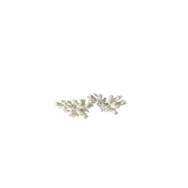 Plastic Set of Two Faux White Coral Vintage Sculptures Decor Pieces on Clear Plexiglass For Sale - Image 7 of 8