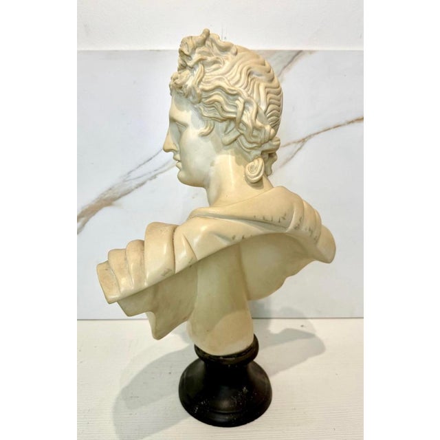 Large mid century composite bust of Apollo. Most likely Italian. Weighs about 26 pounds. Measures 22 inches in height, 14...