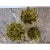 Mid-Century Modern 1960s Italian Olive Green Hand-Tooled Art Glass Bowls, Set of 3 For Sale - Image 3 of 7