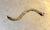 1970s gold tone braided metal bracelet. Excellent condition.