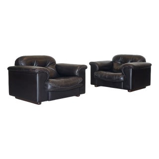 Leather Model DS 101 Armchairs from de Sede, 1970s, Set of 2 For Sale