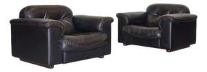 Leather Model DS 101 Armchairs from de Sede, 1970s, Set of 2