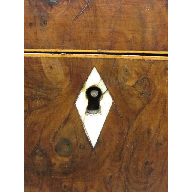 18th Century English Burr Yew Wood Tea Caddy For Sale - Image 11 of 17