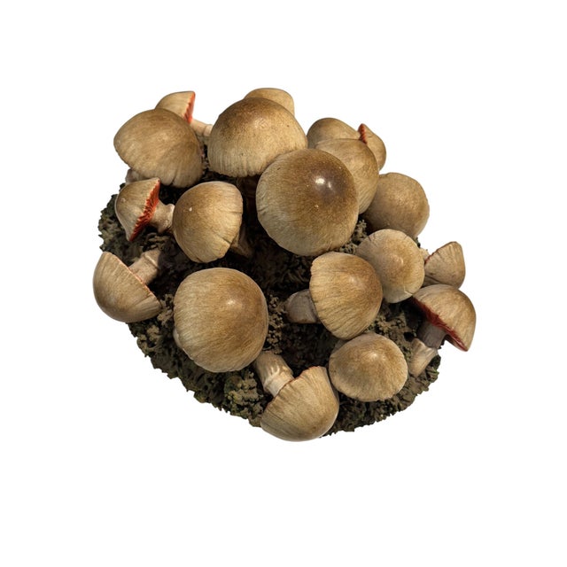 Vintage Italian Tromp l'Oeil Hand-Painted Woven Ceramic Basket of Mushrooms For Sale - Image 9 of 17