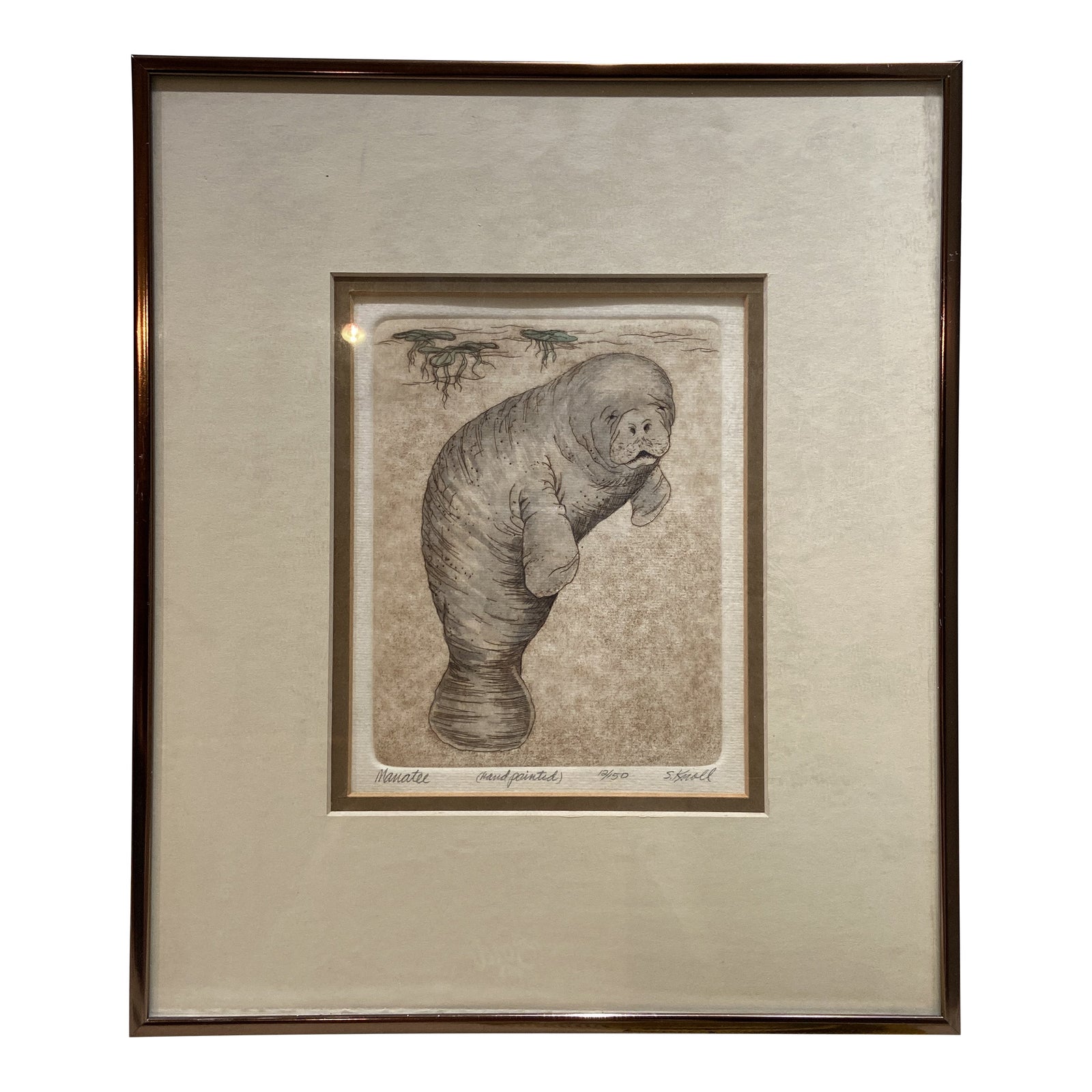 Late 20th Century HandPainted Etching of Florida Manatee by Susan