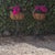 Iron Planters, 1930, Set of 2 For Sale - Image 10 of 10