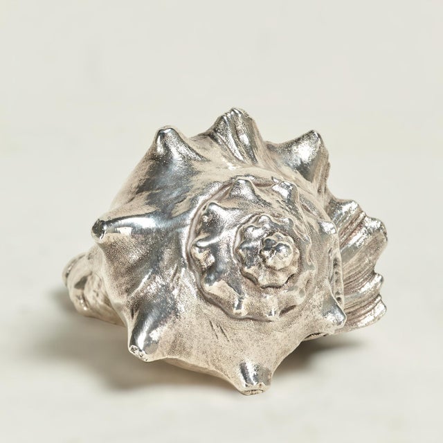 Mid-Century Modern Mid Century Italian Sterling Coated Seashell by Federico Buccellati For Sale - Image 3 of 8