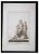 Pietro Campana, Ancient Roman Statue, Original Etching, 18th Century For Sale