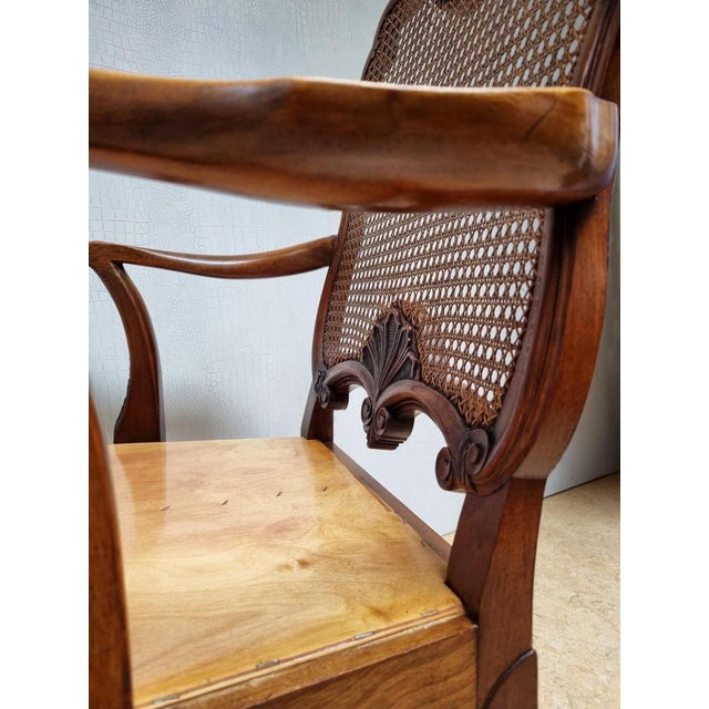 Chippendale Bergere Armchair in Carved Mahogany with Caned Backrest and Lion's Claw and Ball For Sale - Image 14 of 18