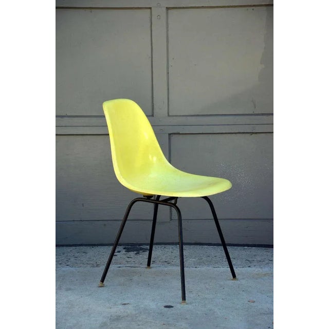 1960s 1960s Vintage Eames Chairs by Herman Miller - Set of 4 For Sale - Image 5 of 11