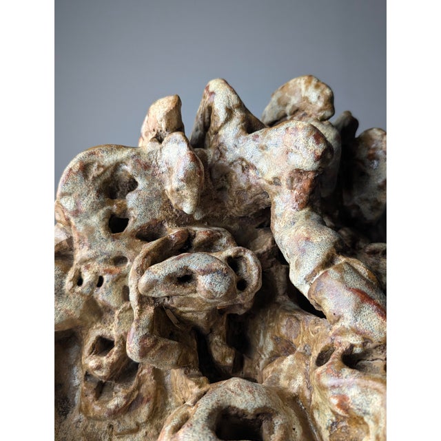 Large Organic Sculpture in Glazed Stoneware with Coral Forms, 2002 For Sale - Image 3 of 16