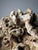Large Organic Sculpture in Glazed Stoneware with Coral Forms, 2002 For Sale - Image 3 of 16