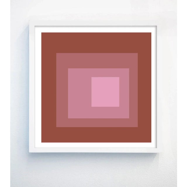 Contemporary Abstract Geometric Color Study in Warm Pinks - Set of 4 20" X 20" For Sale - Image 3 of 7