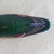 Wood ​Vintage Hand-Signed Shirley Hearne Wood Duck Drake Decoy - Mint Condition For Sale - Image 7 of 8