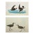 1966 Vintage Cottage Print, "Storm Petrel & Stilt Sandpiper" After John James Audubon For Sale