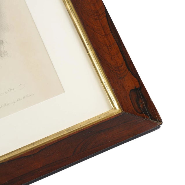 Early 19th Century Engraving of Commodore Stephen Decatur by John Jarvis, 1825 For Sale - Image 5 of 9