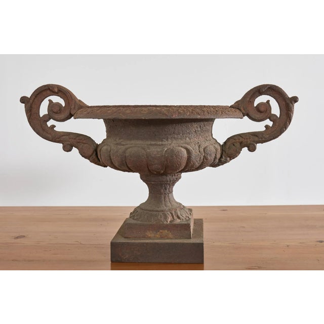 Pair of Diminutive English Cast Iron Urn Jardinaires For Sale - Image 10 of 13